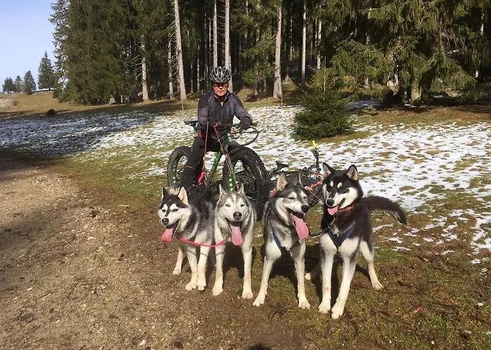 Apartamento Vent_du_nord *